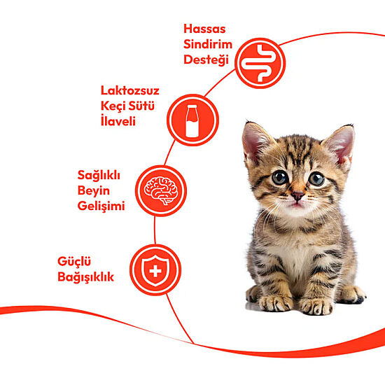 Wanpy Somonlu Yavru Kedi Krema Ödülü 5x14 Gr - 3