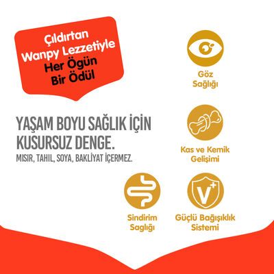 Wanpy with Oven Baked Bites Tahılsız Tavuklu Yavru Kedi Kuru Maması 1,5 Kg