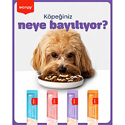 Wanpy Dog Creamy Treat Tavuk Etli ve Peynirli Likit Creamy Köpek Ödülü 5Li Paket (5 x 14 Gr) - 3