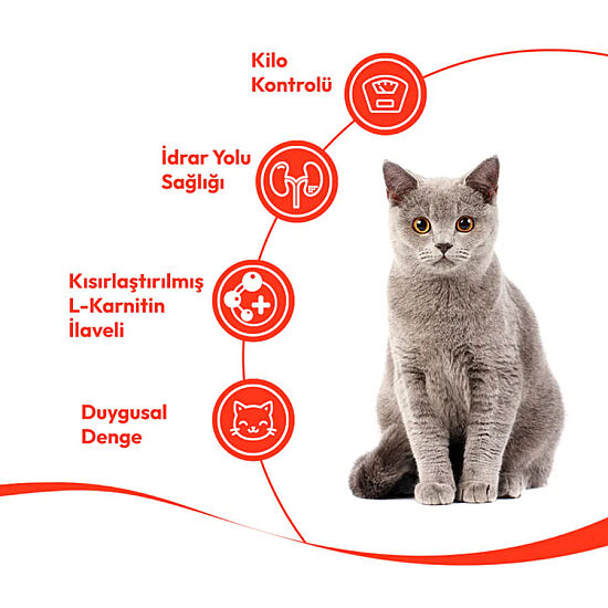 Wanpy Ton Balıklı ve Kızılcıklı Kısırlaştırılmış Kedi Krema Ödülü 5x14 Gr - 3