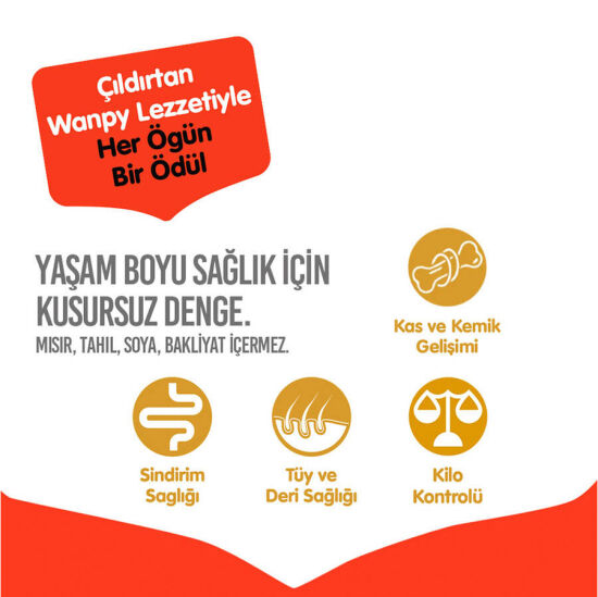 Wanpy with Oven Baked Bites Tahılsız Sığır Etli Yetişkin Köpek Kuru Maması 1,5 Kg - 3