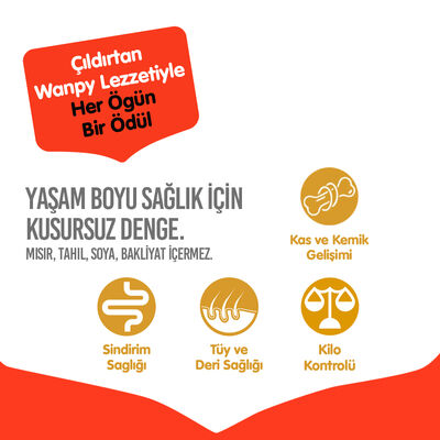 Wanpy with Oven Baked Bites Tahılsız Sığır Etli Yetişkin Köpek Kuru Maması 1,5 Kg