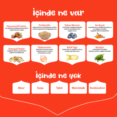 Wanpy with Oven Baked Bites Tahılsız Sığır Etli Yetişkin Köpek Kuru Maması 1,5 Kg