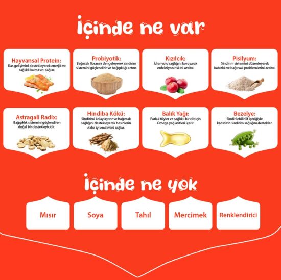 Wanpy with Oven Baked Bites Tahılsız Somonlu Yetişkin Kedi Kuru Maması 8 Kg - 5