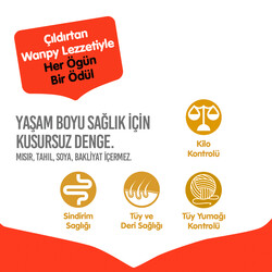 Wanpy with Oven Baked Bites Tahılsız Ton Balıklı Yetişkin Kedi Kuru Maması 1,5 Kg - Thumbnail