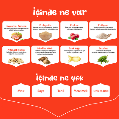 Wanpy with Oven Baked Bites Tahılsız Ton Balıklı Yetişkin Kedi Kuru Maması 1,5 Kg