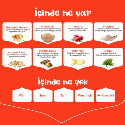 Wanpy with Oven Baked Bites Tahılsız Tavuklu Yetişkin Kedi Kuru Maması 1,5 Kg