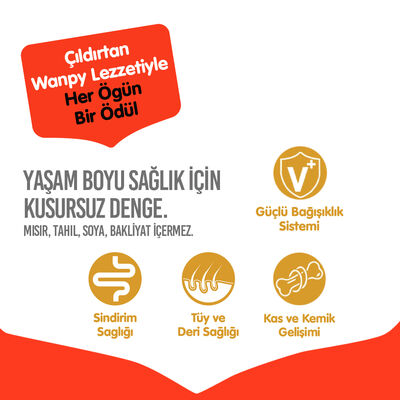 Wanpy with Oven Baked Bites Tahılsız Tavuklu Yetişkin Köpek Kuru Maması 1,5 Kg