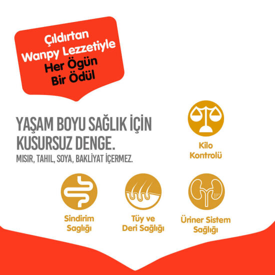 Wanpy with Oven Baked Bites Tahılsız Tavuklu Yetişkin Kedi Kuru Maması 8 Kg - 4