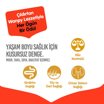 Wanpy with Oven Baked Bites Tahılsız Somonlu Yetişkin Kedi Kuru Maması 1,5 Kg