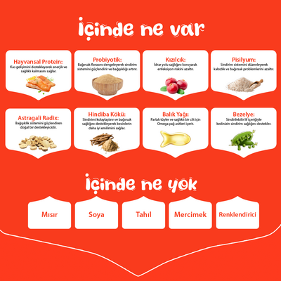 Wanpy with Oven Baked Bites Tahılsız Somonlu Yetişkin Kedi Kuru Maması 1,5 Kg