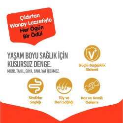 Wanpy with Oven Baked Bites Tahılsız Ördekli Yetişkin Köpek Kuru Maması 1,5 Kg - 4