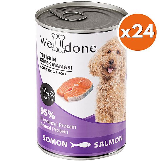 Welldone Somonlu Pate Yetişkin Köpek Konservesi 415 Gr x 24 Adet - 1