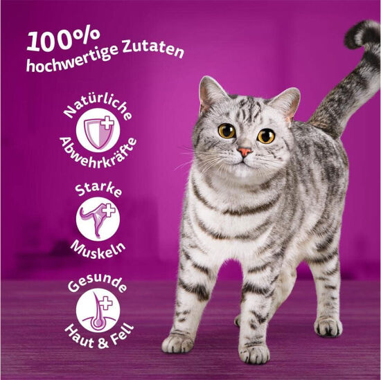 Whiskas Jöle İçinde Ton Balıklı Kedi Konservesi 400 Gr - 4