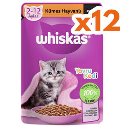 Whiskas - Whiskas Junior Pouch Kümes Hayvanlı Yavru Kedi Yaş Maması 85 Gr (12 Adet x 85 Gr)