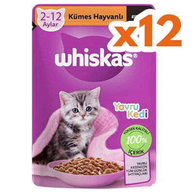 Whiskas Junior Pouch Kümes Hayvanlı Yavru Kedi Yaş Maması 85 Gr (12 Adet x 85 Gr)