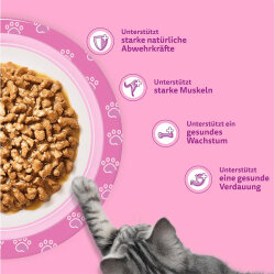 Whiskas Junior Pure Delight Tavuk Etli Yavru Kedi Yaş Maması 85 Gr x 12 Adet - 3