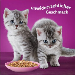 Whiskas Junior Pure Delight Tavuk Etli Yavru Kedi Yaş Maması 85 Gr x 12 Adet - 5
