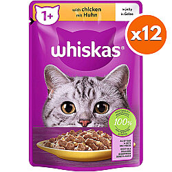 Whiskas Pouch in Jelly Tavuk Etli Kedi Yaş Maması 85 Gr x 12 Adet - Whiskas
