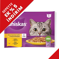 Whiskas - Whiskas Pouch Kümes Hayvanı Çeşitleri Kedi Yaş Maması 85 Gr x 4 Adet