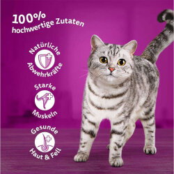 Whiskas Tasty Mix Kuzulu ve Hindili Kedi Yaş Maması 85 Gr x 12 Adet - 5