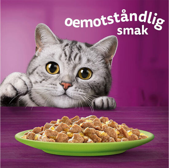 Whiskas Tasty Mix Somonlu Havuçlu Kedi Yaş Maması 85 Gr x 12 Adet - 5