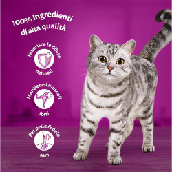 Whiskas Ton Balıklı ve Sebzeli Kedi Maması 3,8 Kg - 2