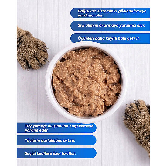 Zampa Creamy Delight Kedi Krema Ödül Maması 30 lu Paket (16 Gr x 30 Adet) - 7